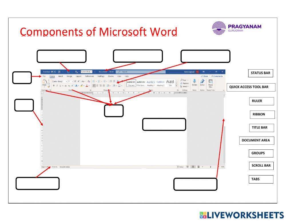 5172027 grade 3 components of ms word neha agrawal