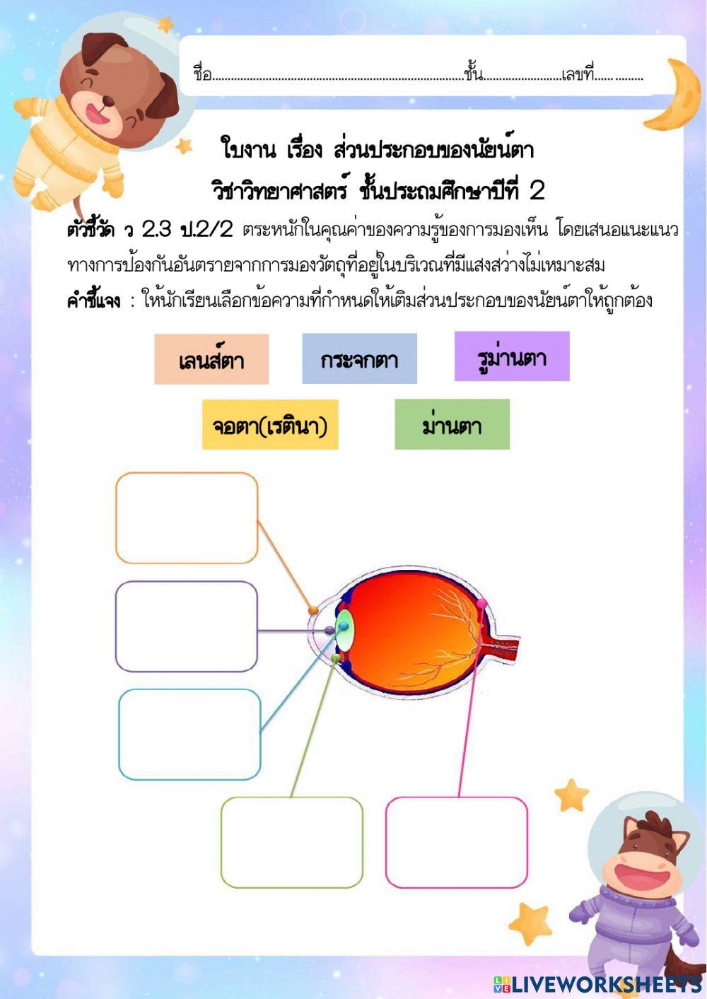 แหล่งกำเนิดแสงและนัยน์ตา