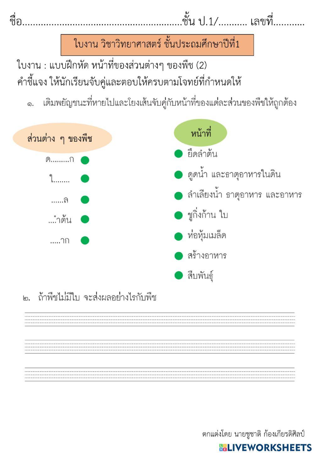 หน้าที่ของส่วนต่าง ๆ ของพืช (3) วิทย์ป.1