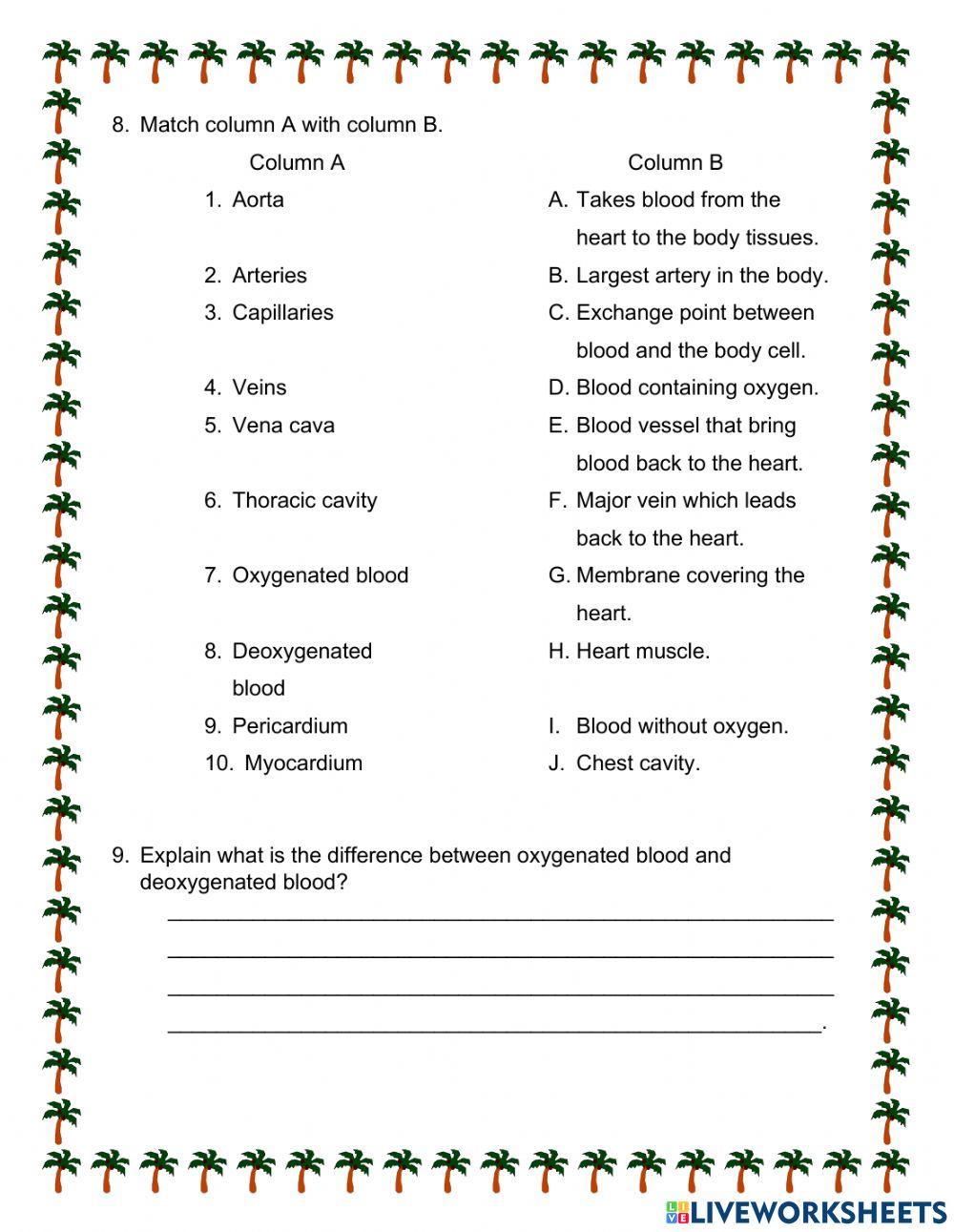 Vircultory system Quiz