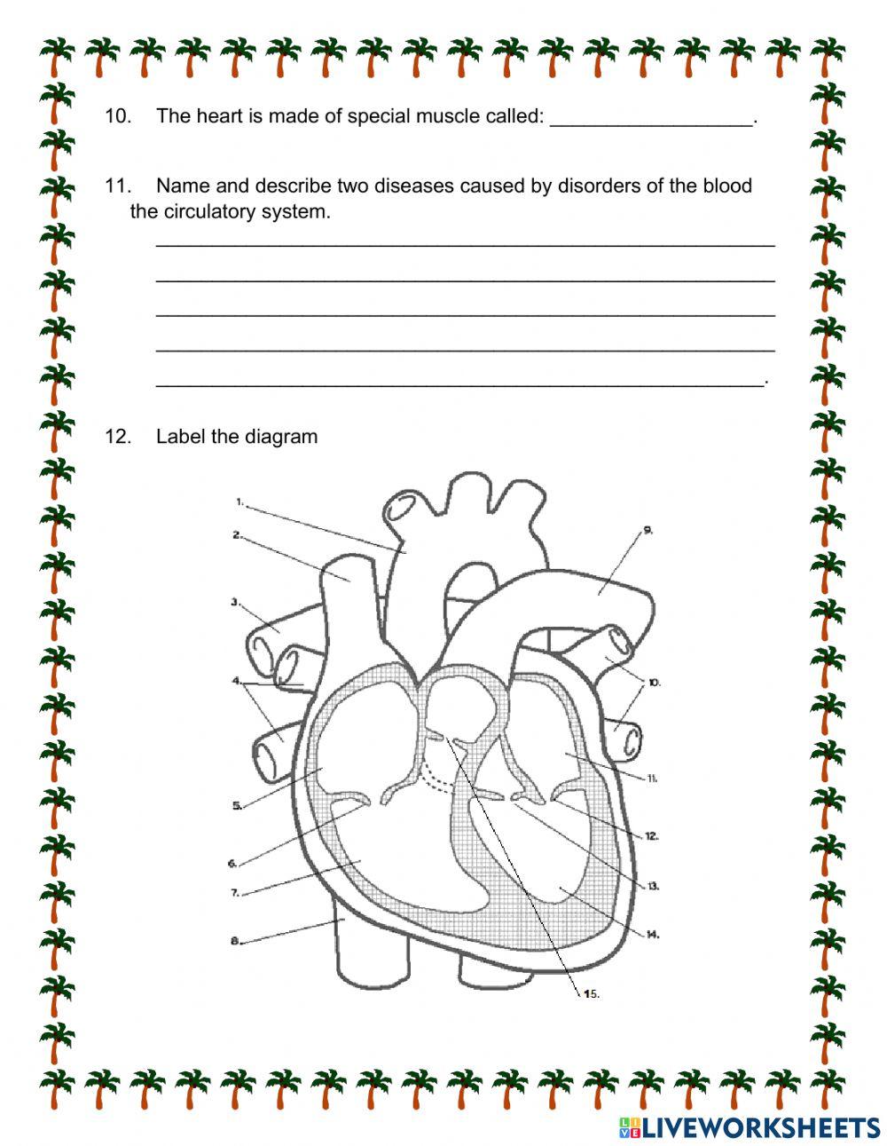 Vircultory system Quiz