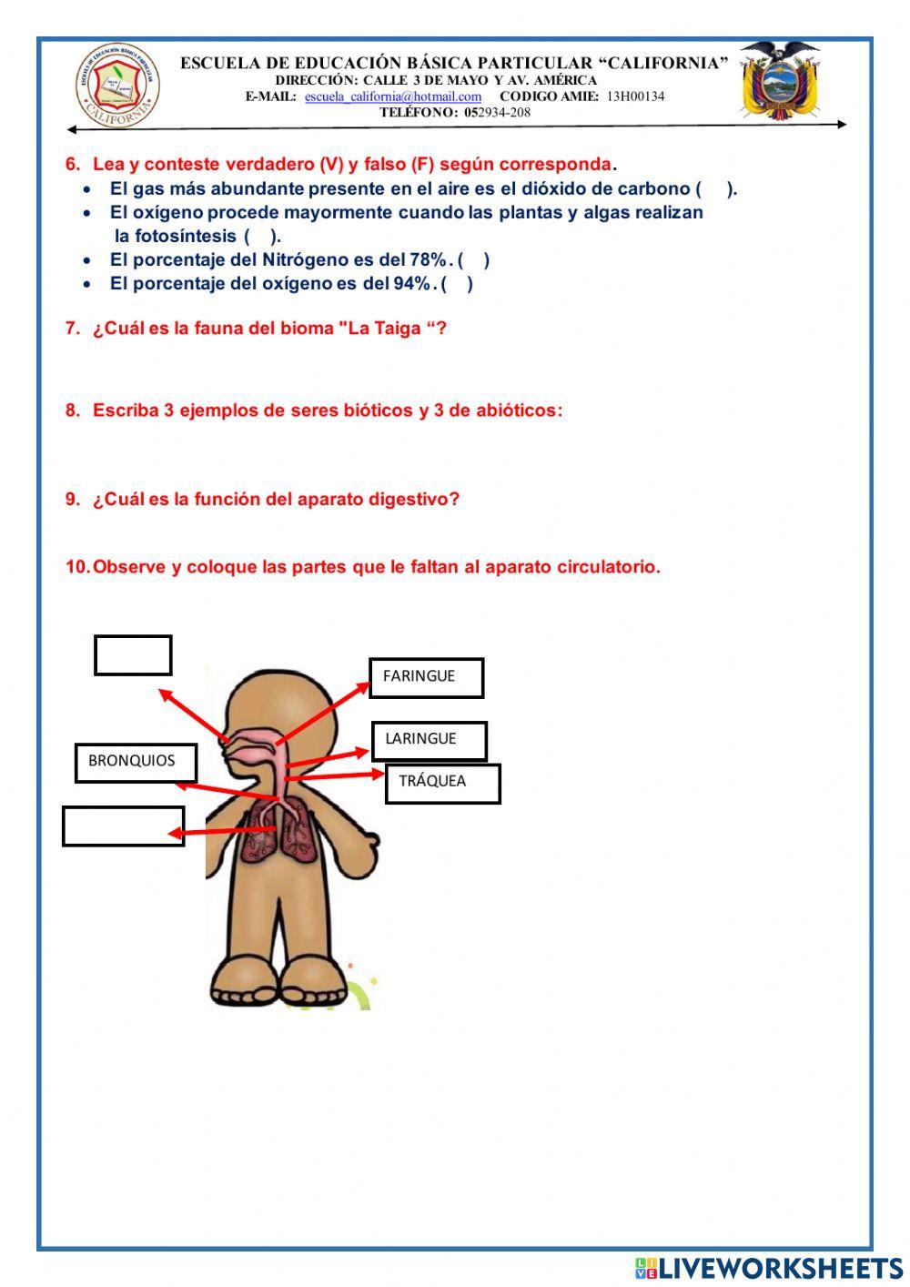 Examen de ccnn de 5to del 1er. quimestre