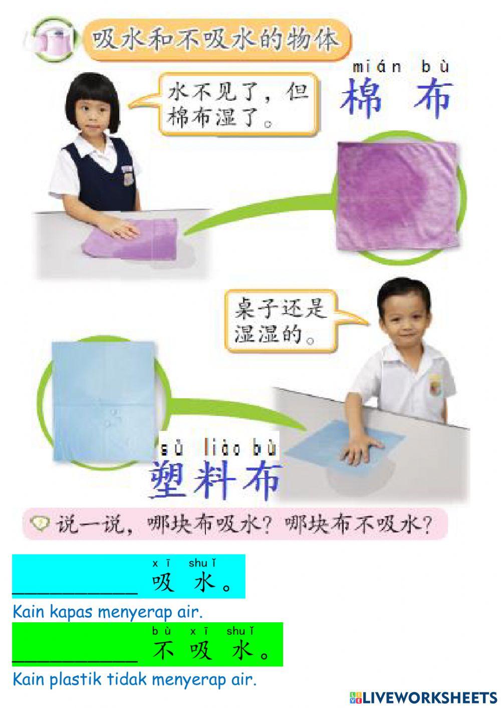 一年级科学吸水和不吸水
