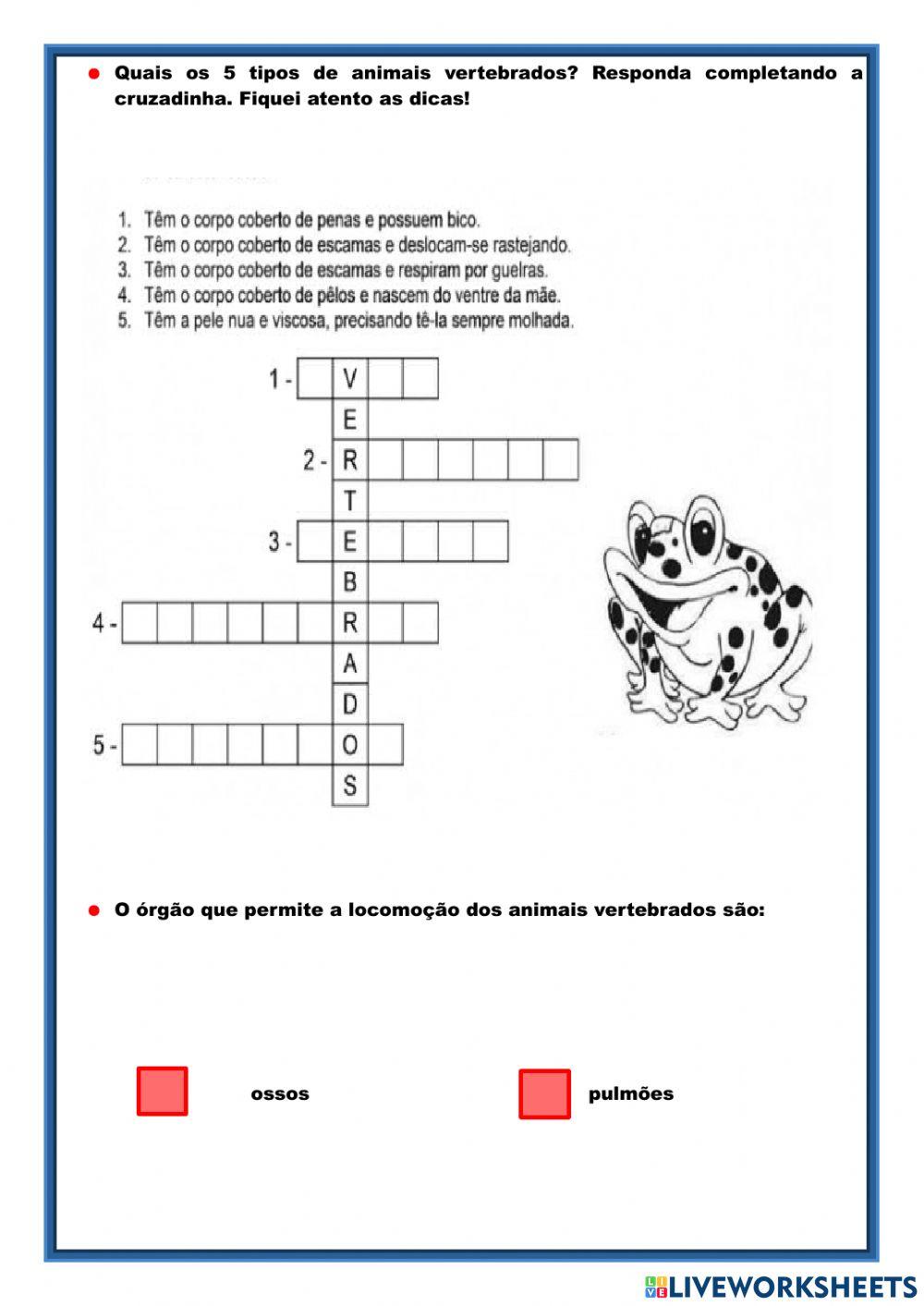 Classificação dos animias