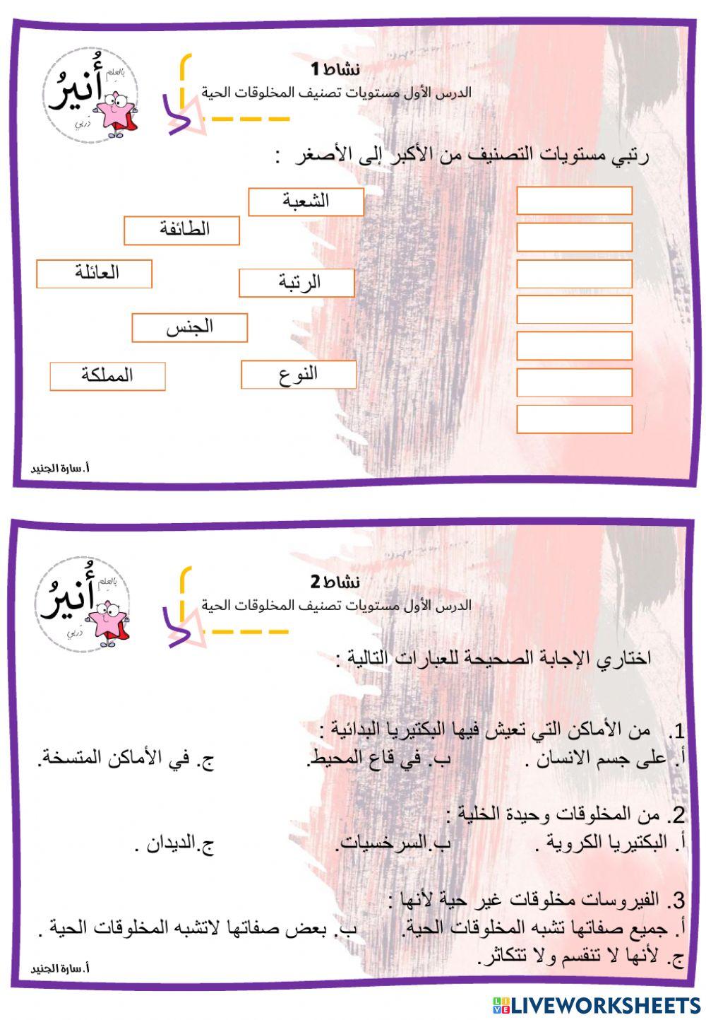 مستويات تصنيف المخلوقات الحية