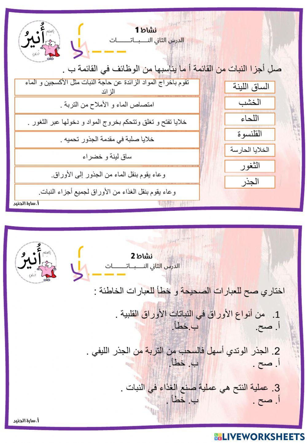 النباتات - الصف الخامس