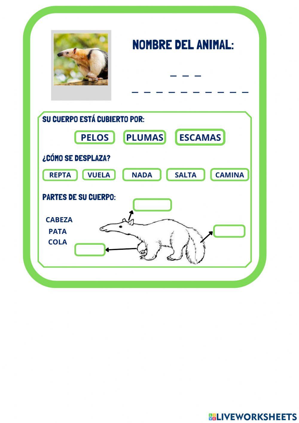 Animales de la selva ficha 3
