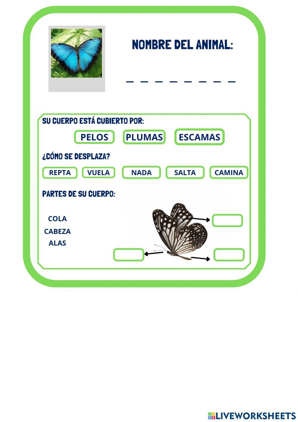 Animales de la selva ficha 6