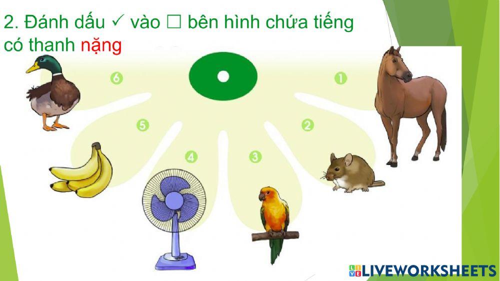 Bài 5: cỏ - cọ