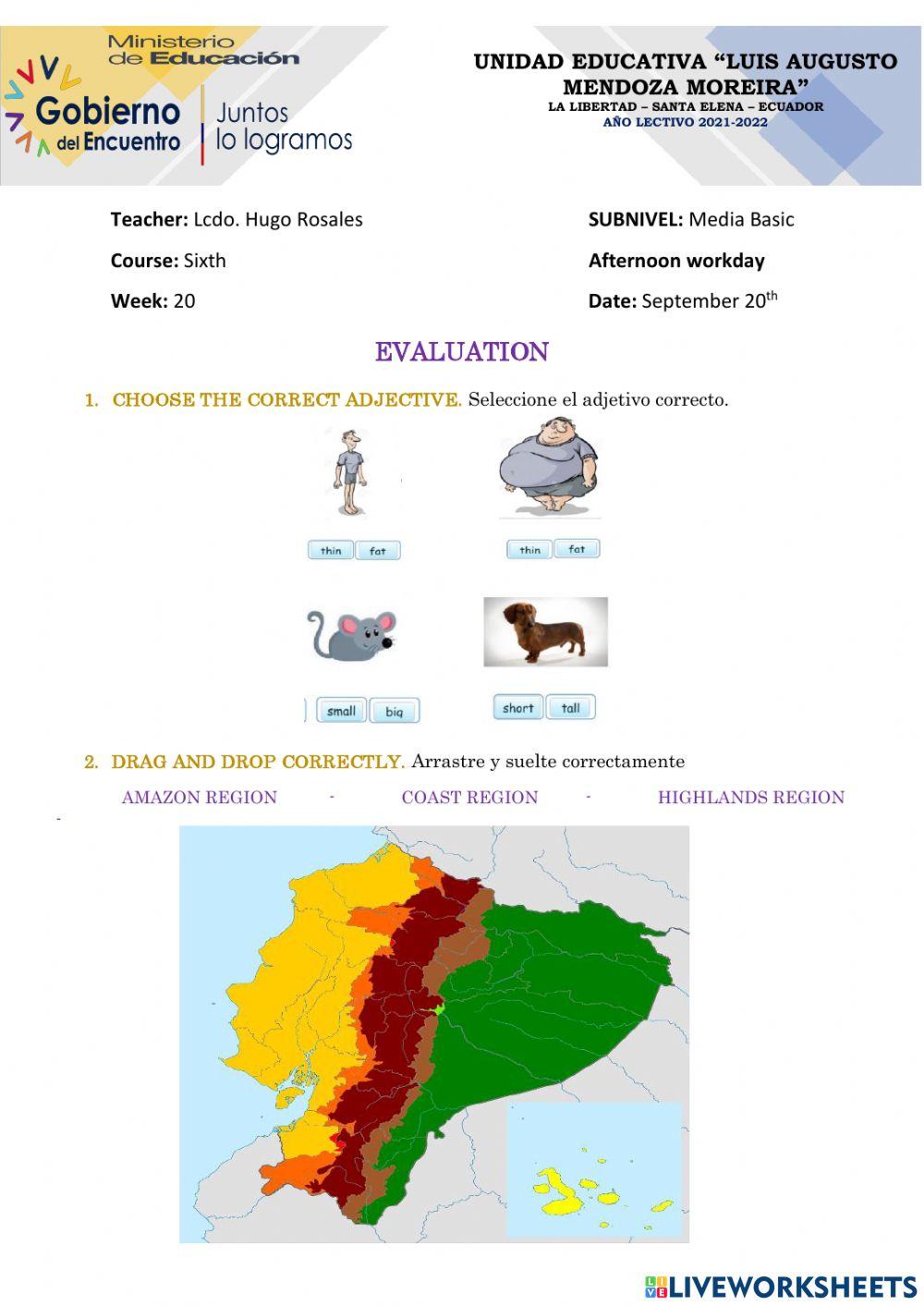 6to - Evaluation Test