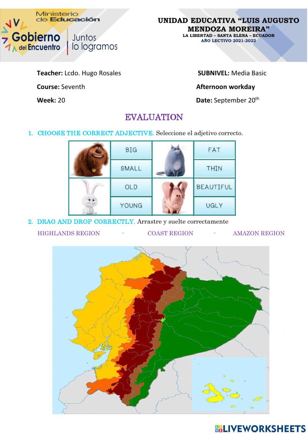 7mo - Evaluation test