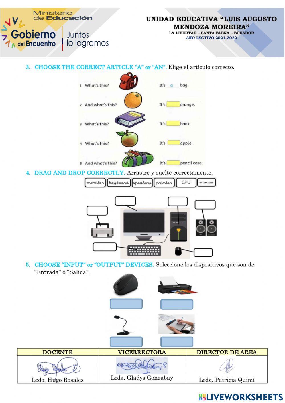 7mo - Evaluation test