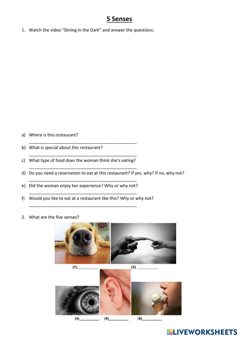 5 Senses - Pre-Adol 3