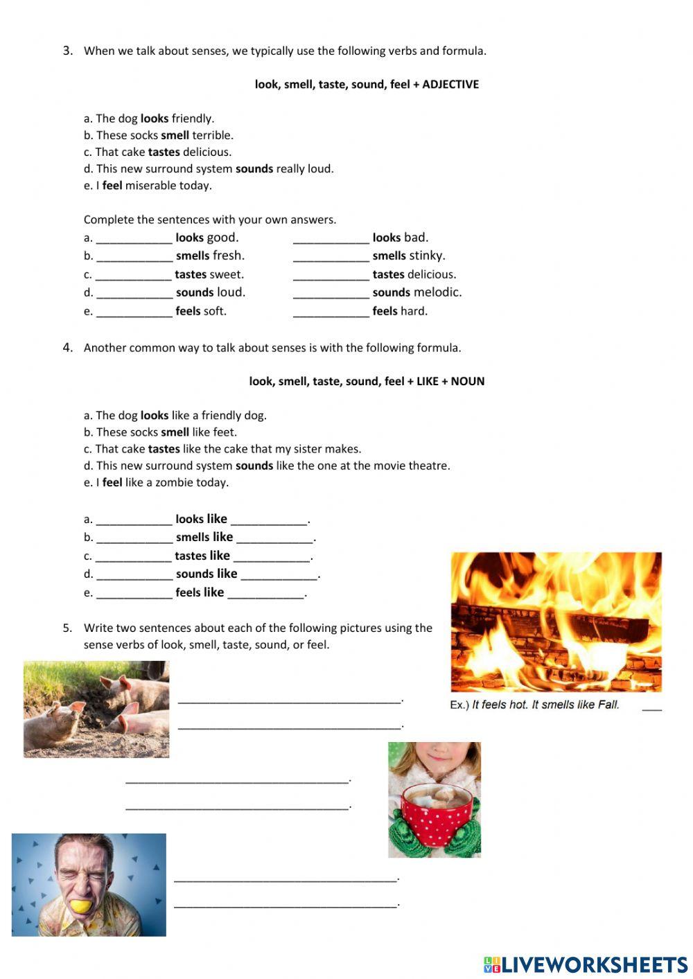 5 Senses - Pre-Adol 3