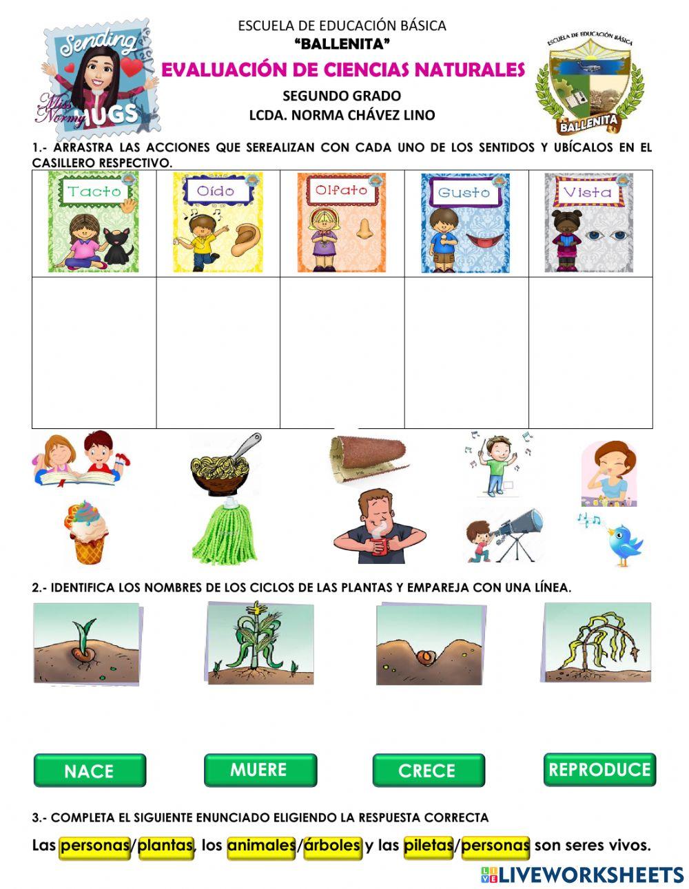 Evaluación de ciencias naturales
