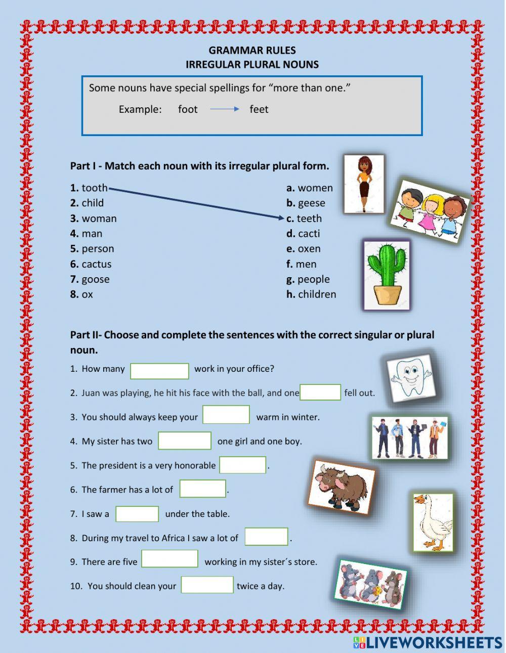 Irregular Plural Nouns Worksheet