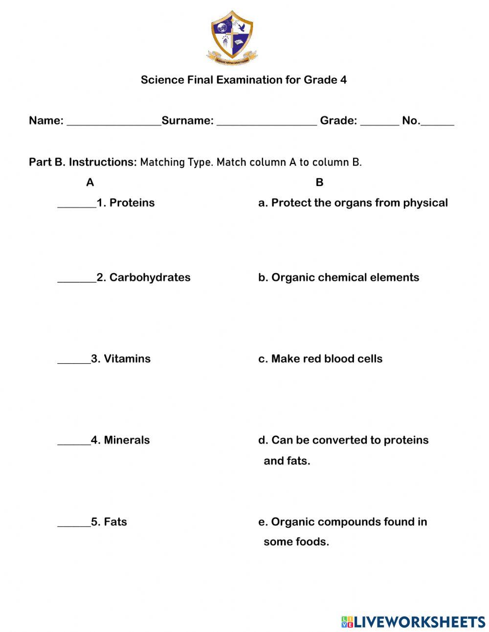 Science Final Exam Worksheet