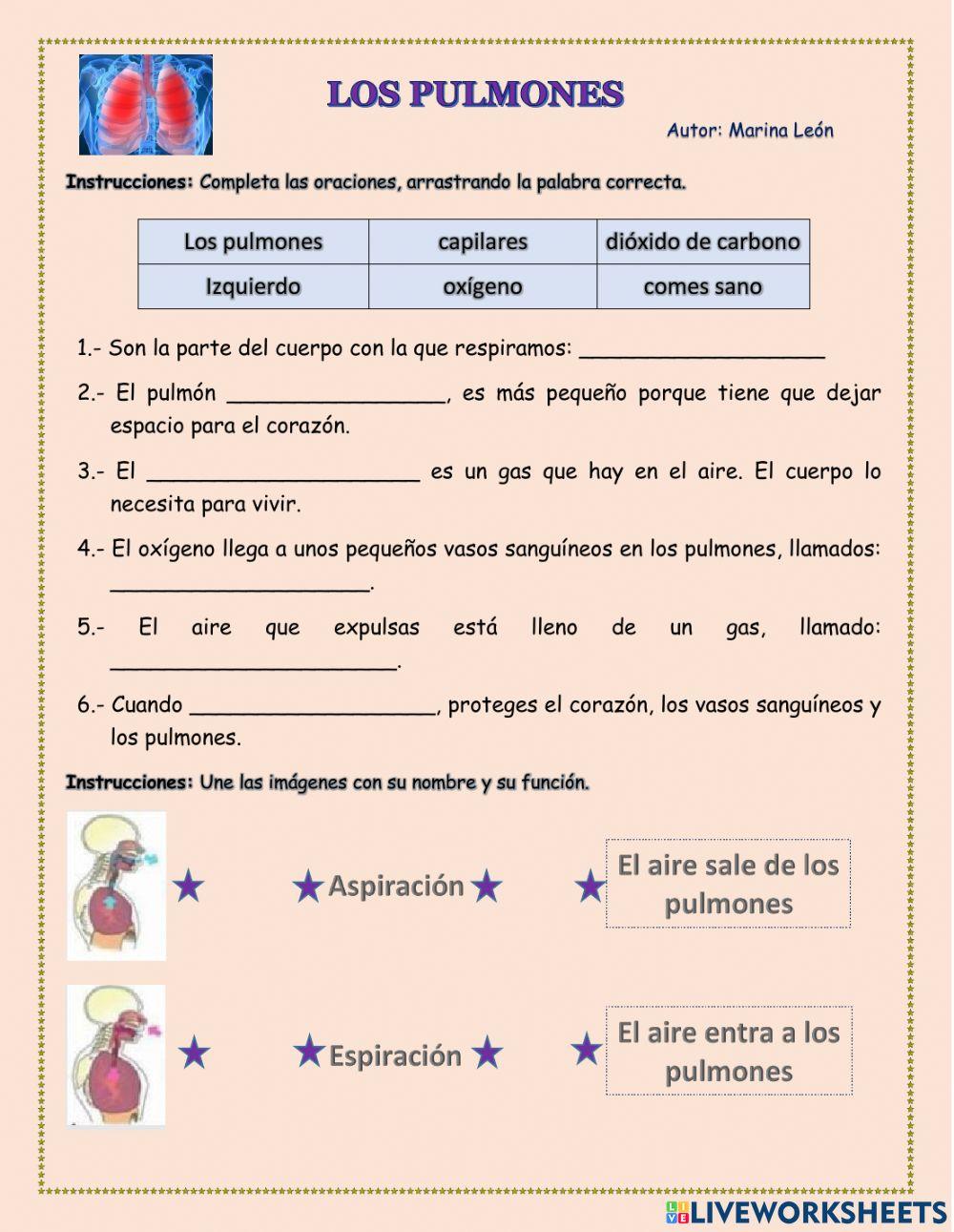 Pulmones, Aspirar, Espirar
