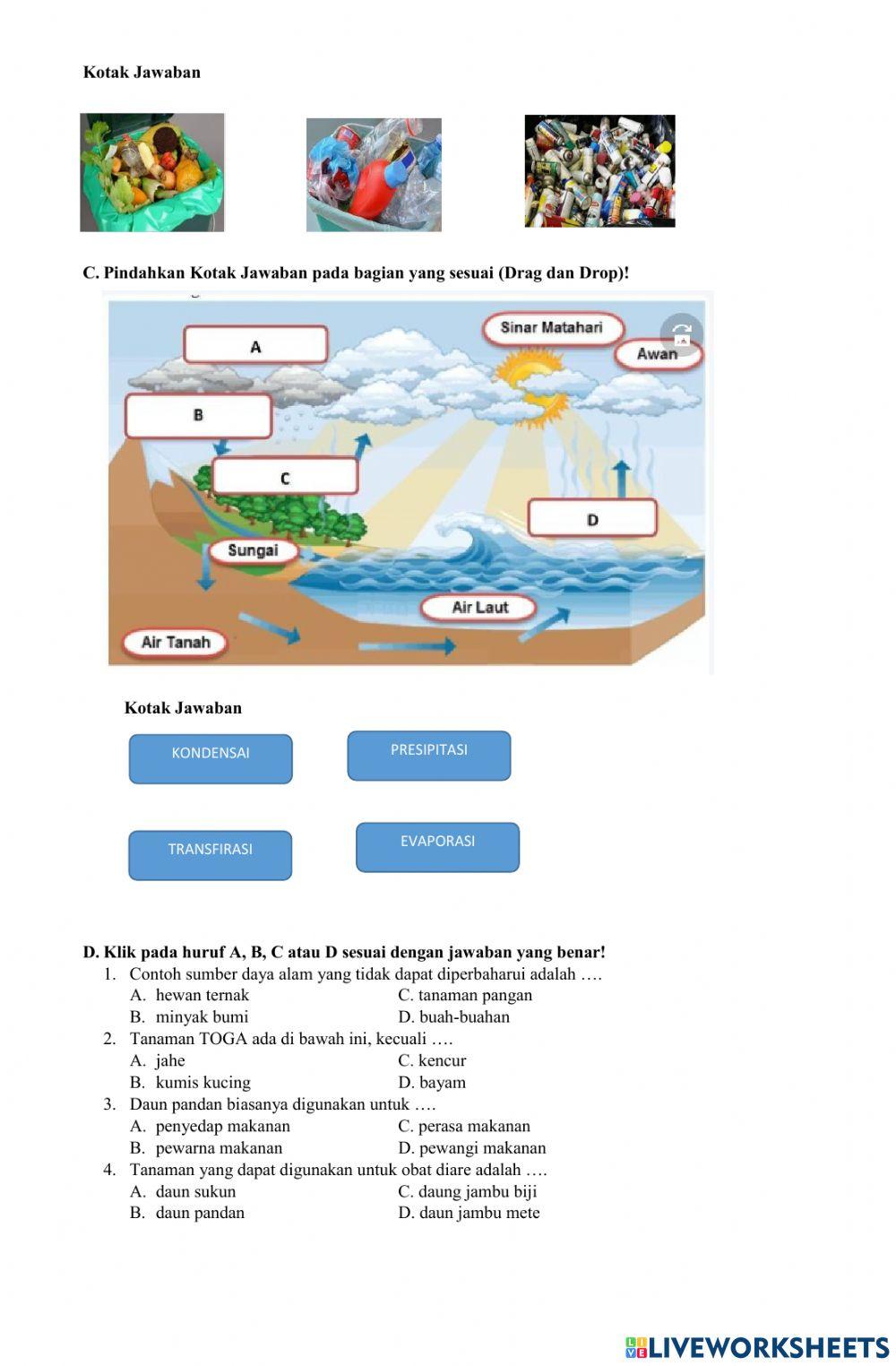 PTS 1 Pendidikan Lingkungan Hidup