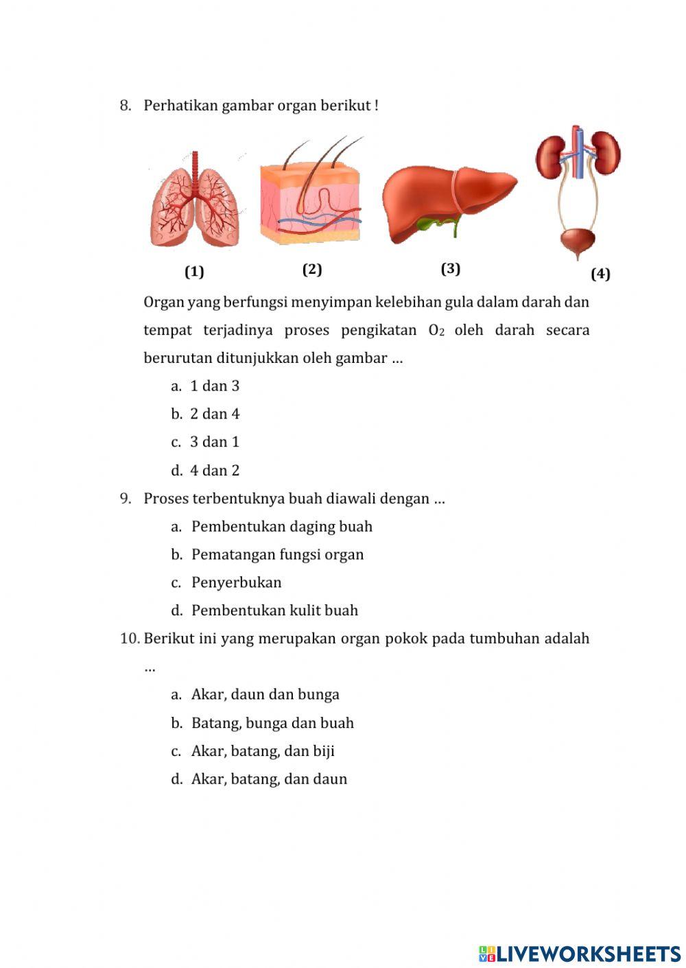 Uji kompetensi organ