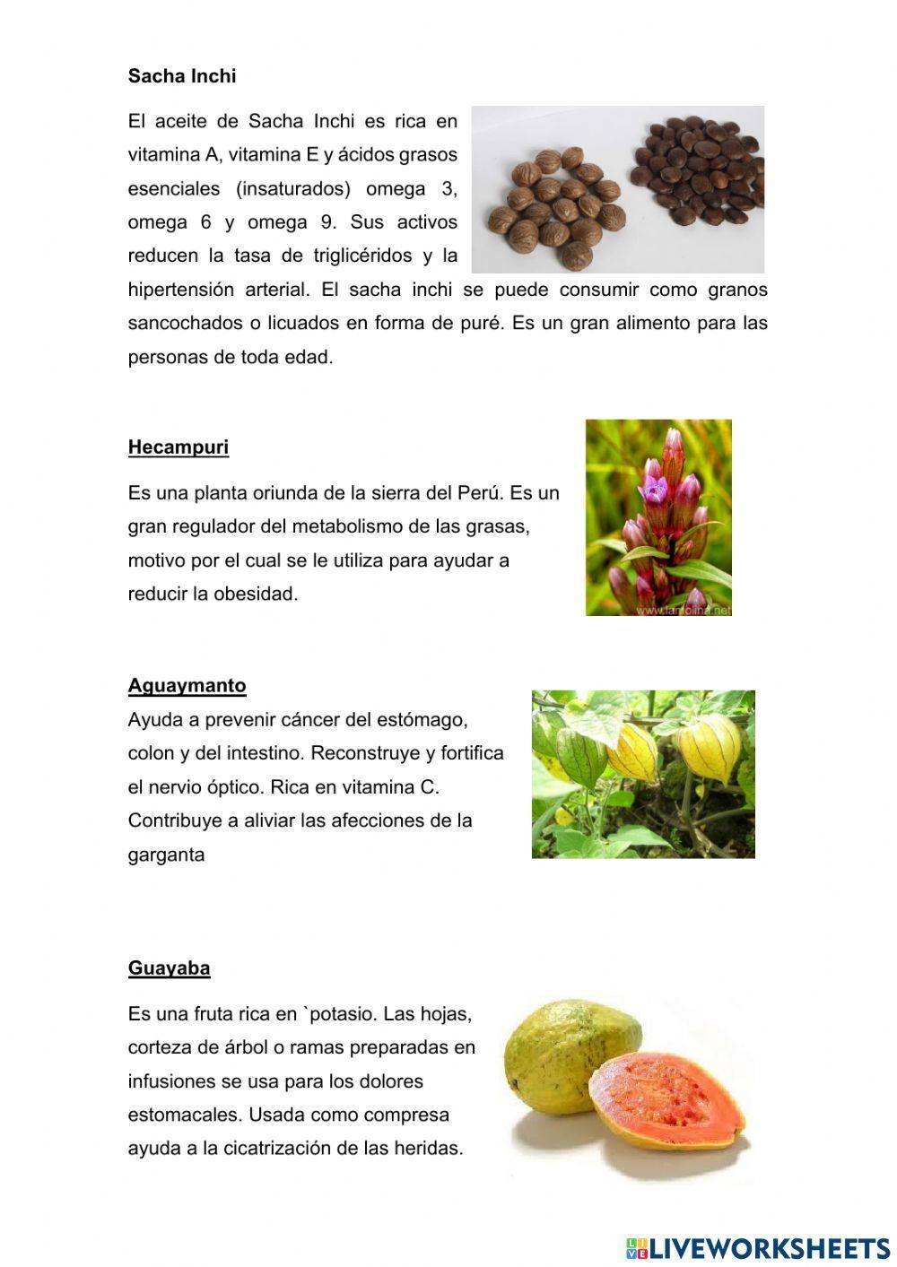 Cuestionari plantas nativas