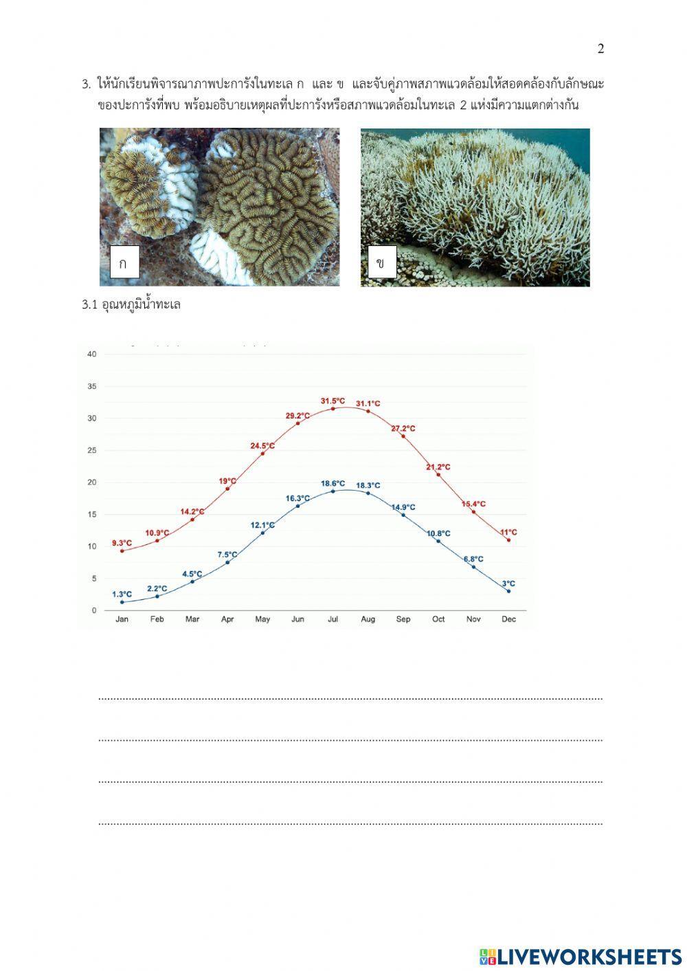 ข้อสอบปลายภาค-2564 cc