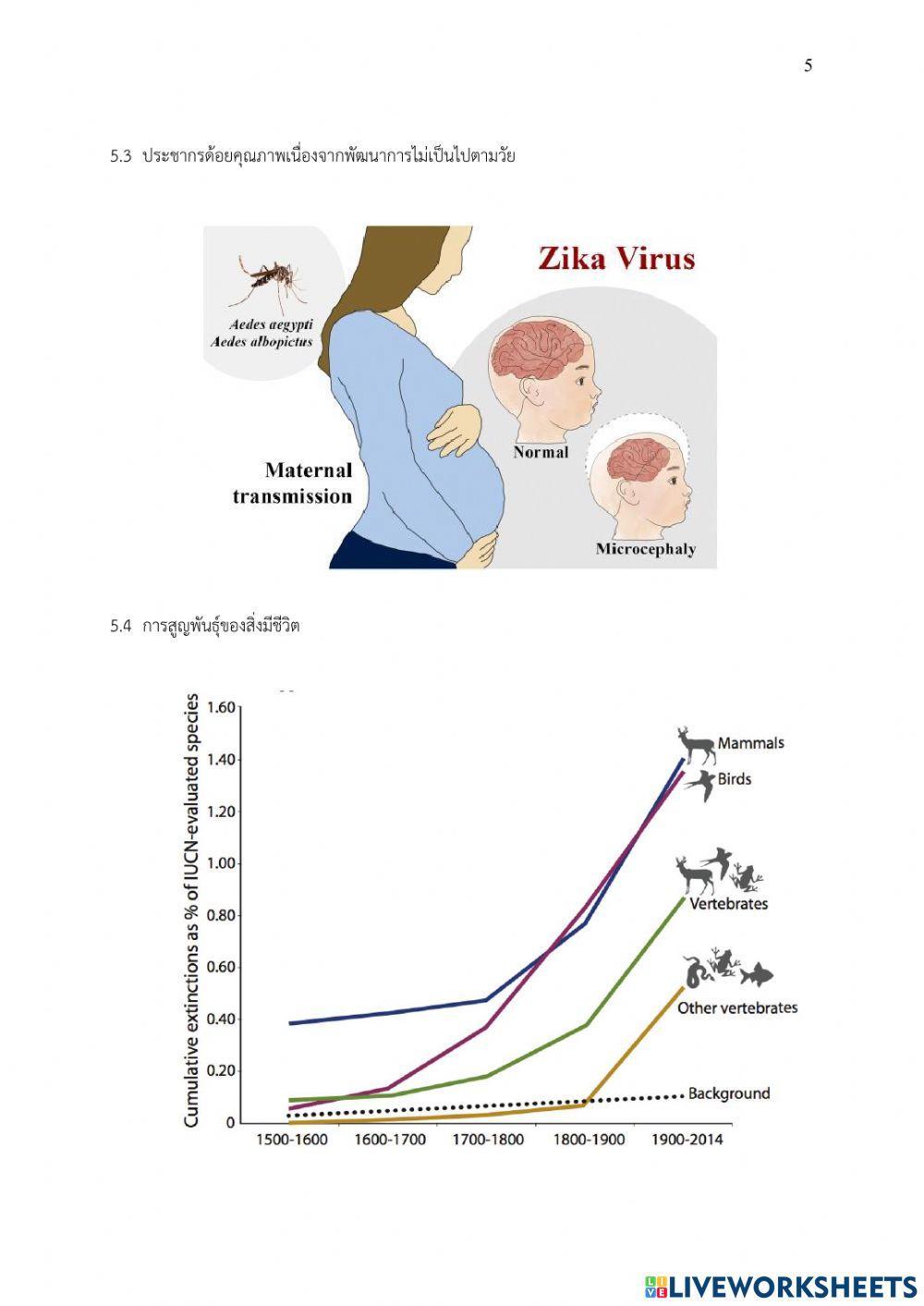 ข้อสอบปลายภาค-2564 cc