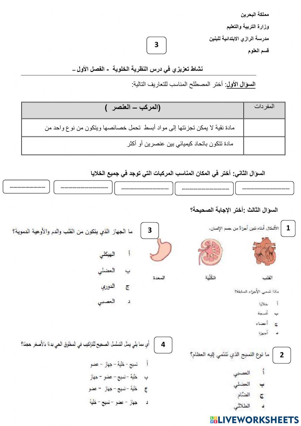 استمرار الحياة