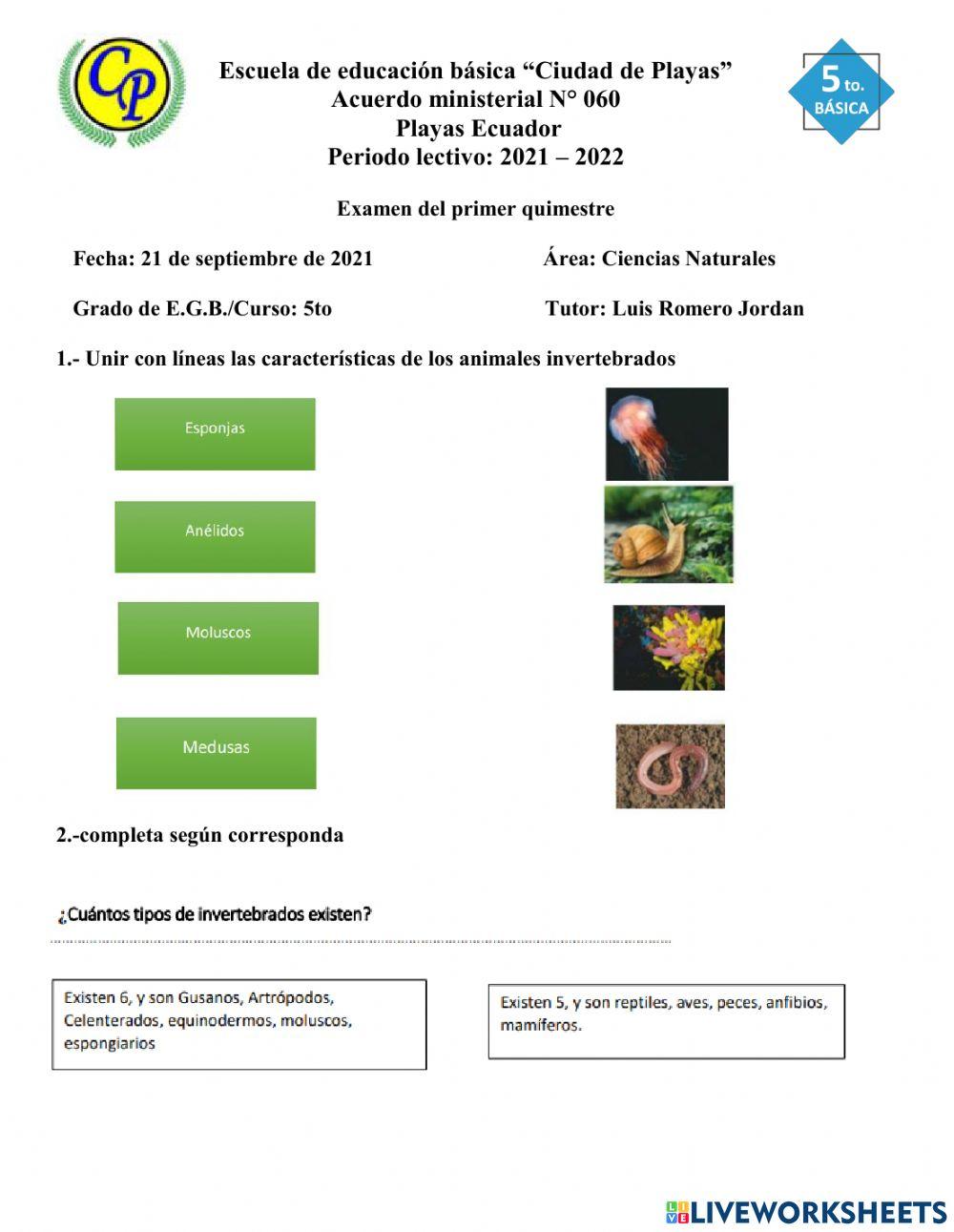 Examen primer pacial