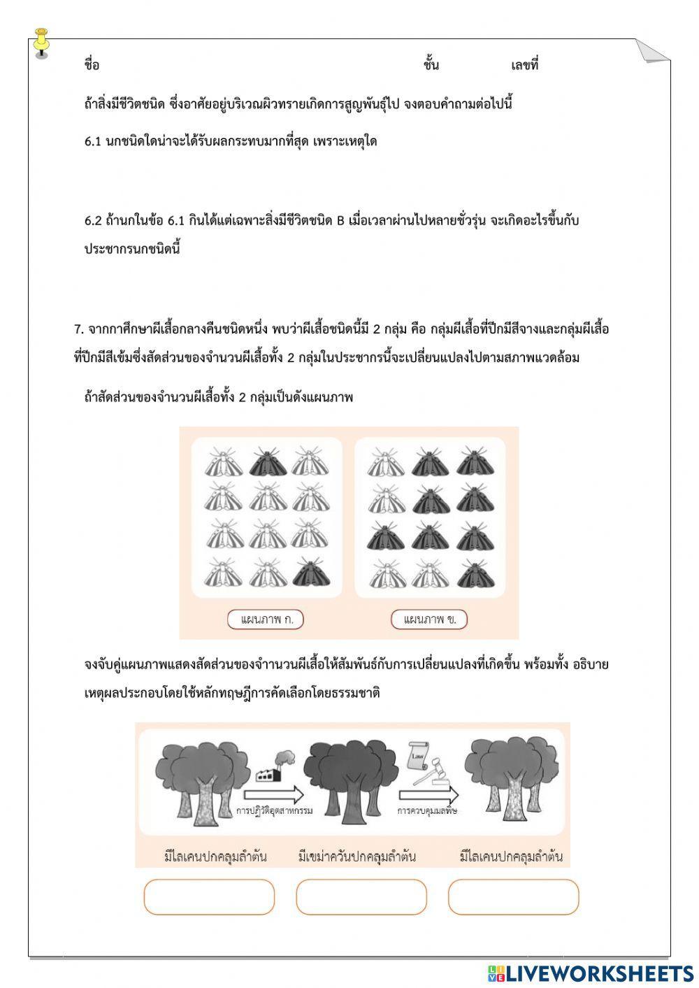 ม.4 - แบบฝึกหัดท้ายบทที่ 4 พันธุกรรมและวิวัฒนาการ