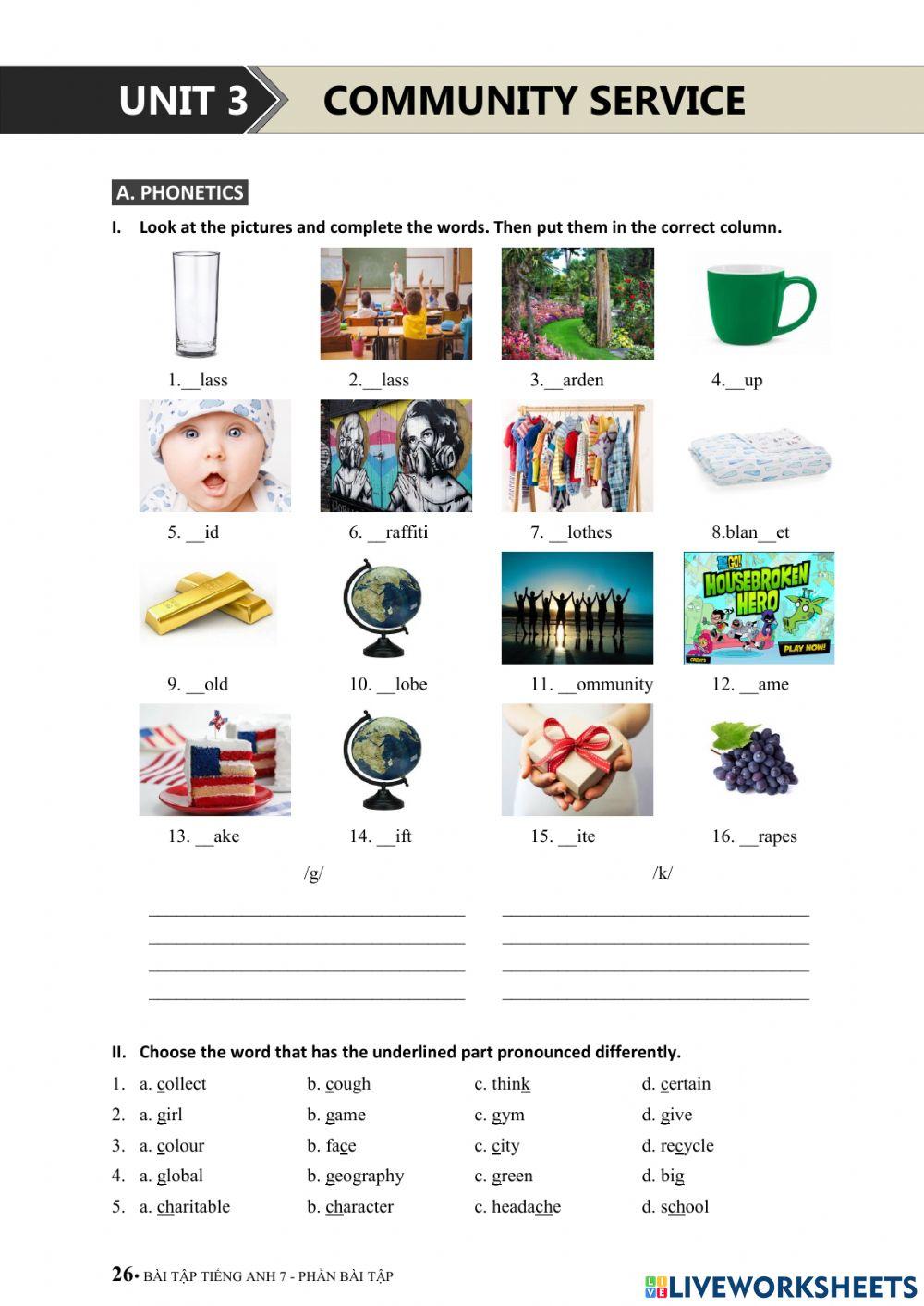 1422477 unit 3 community service thuy
