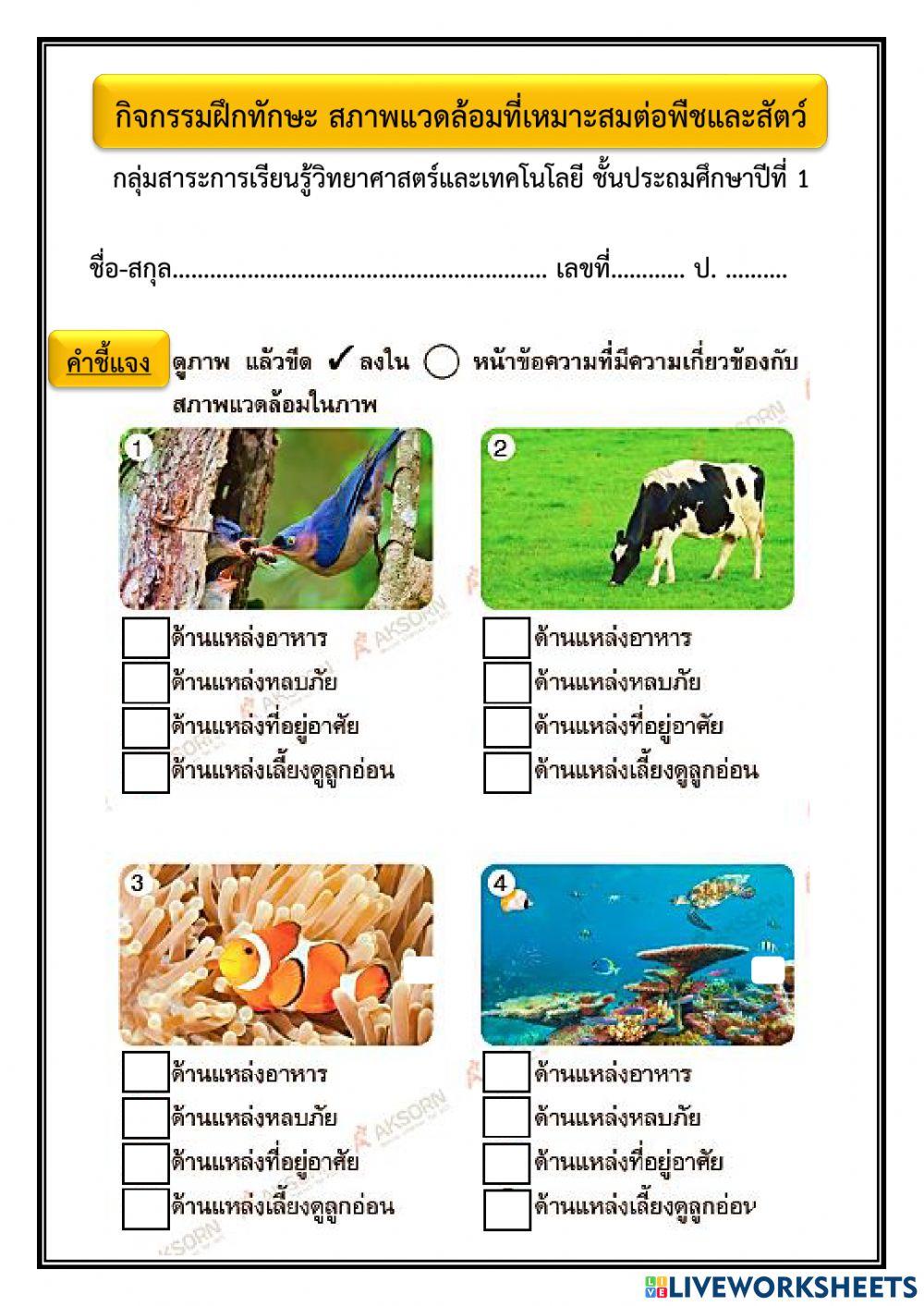 กิจกรรมฝึกทักษะ สภาพแวดล้อมที่เหมาะสมต่อพืชและสัตว์