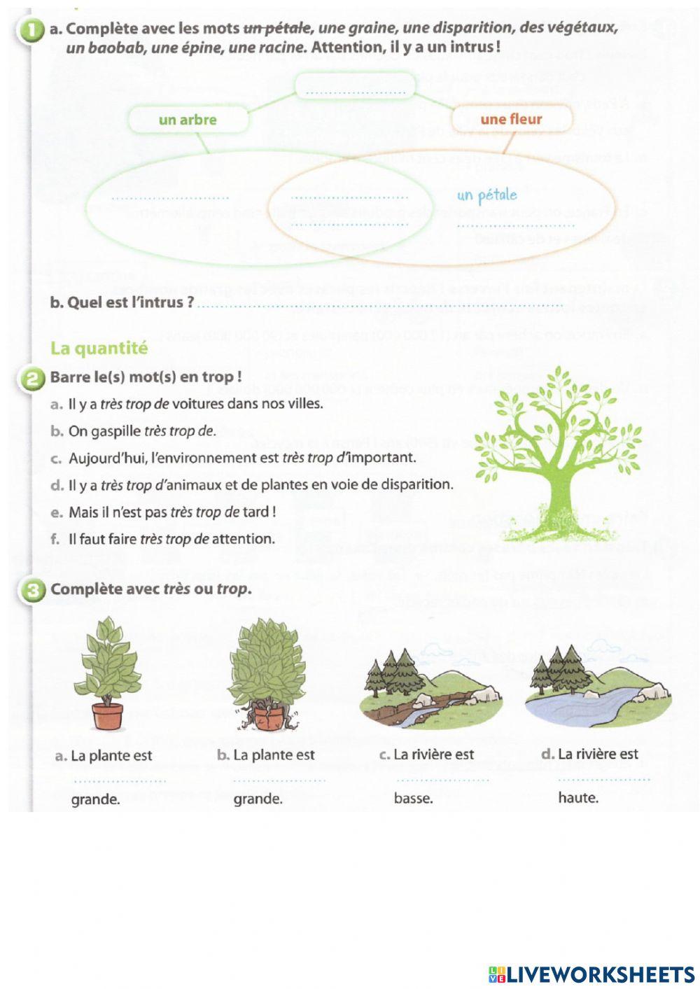 Module 3 leçon 3 devoir