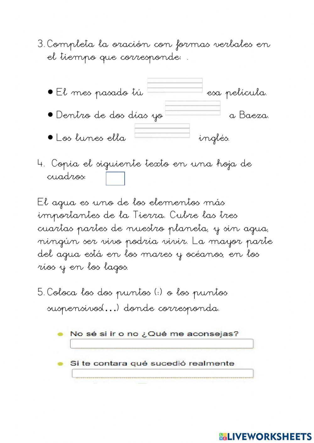 4ºP lengua Pruebas diagnósticas