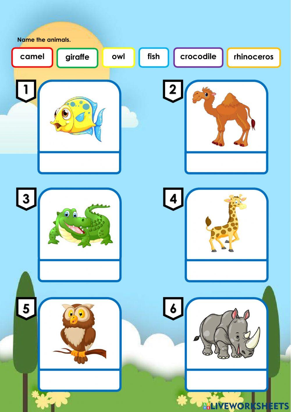 Animal & Animal's Sound