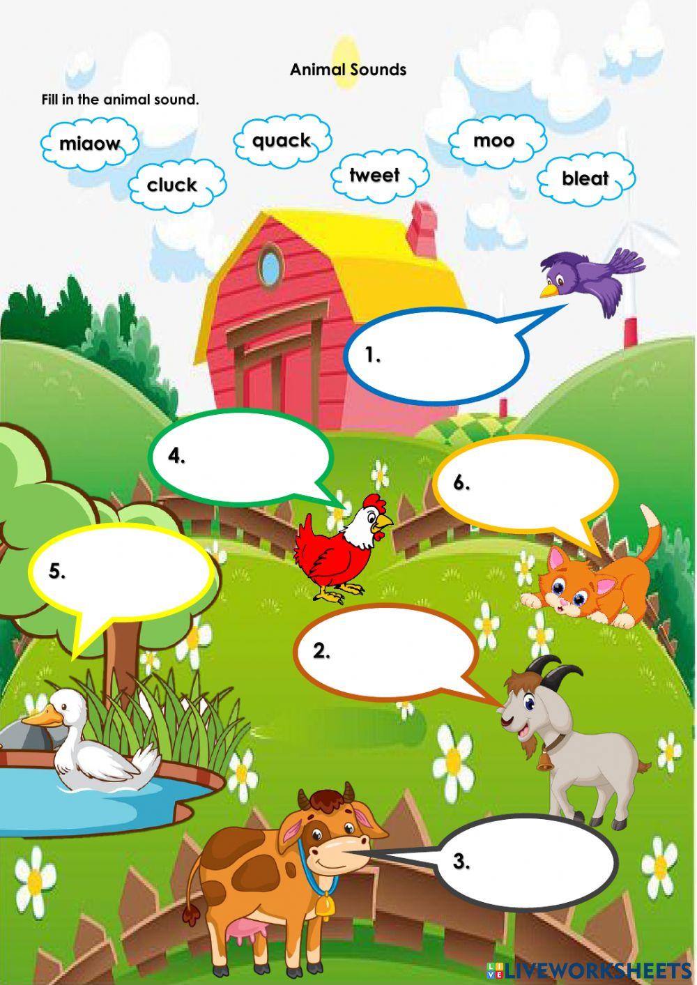 Animal & Animal's Sound