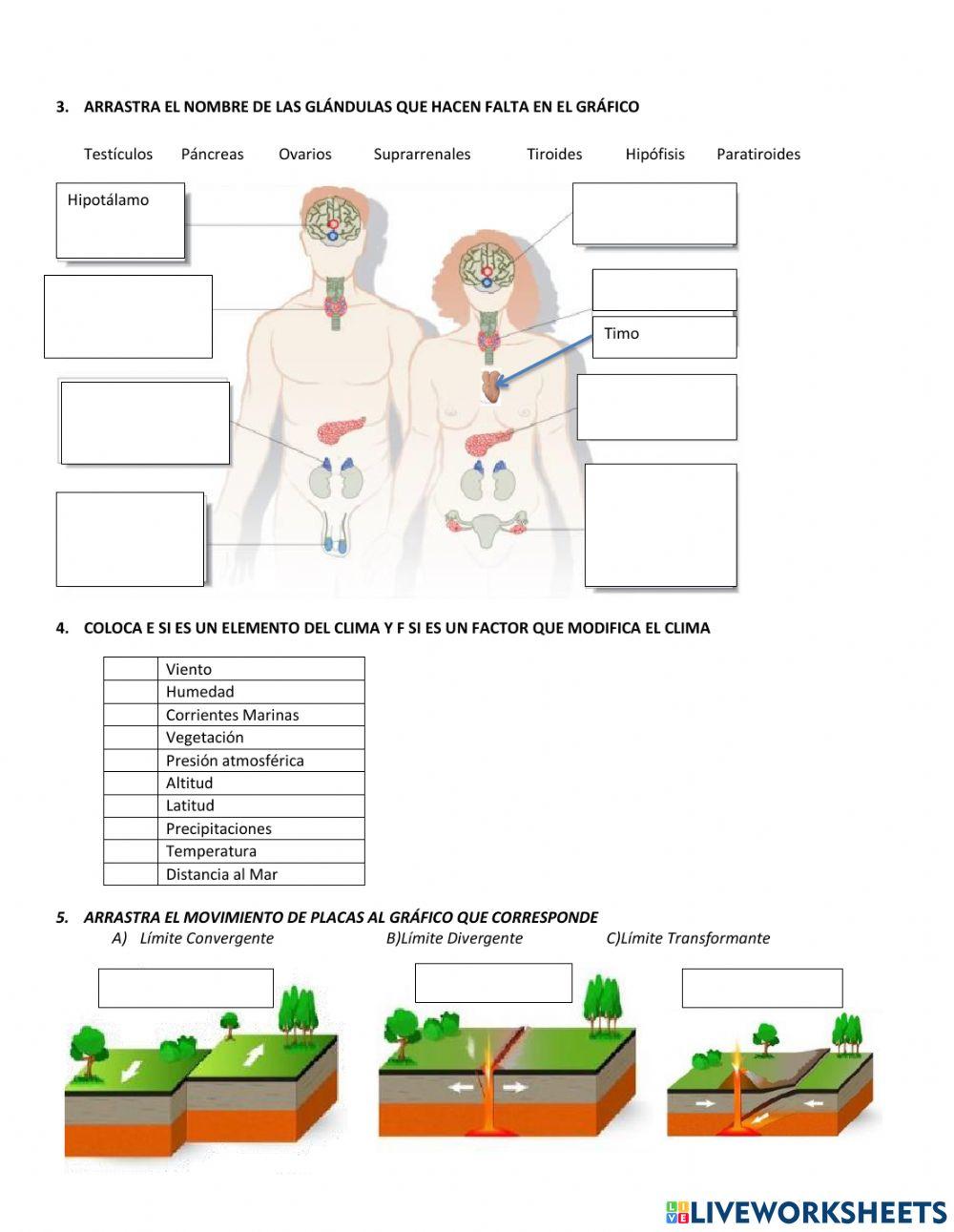 Examen de Ciencias 2021
