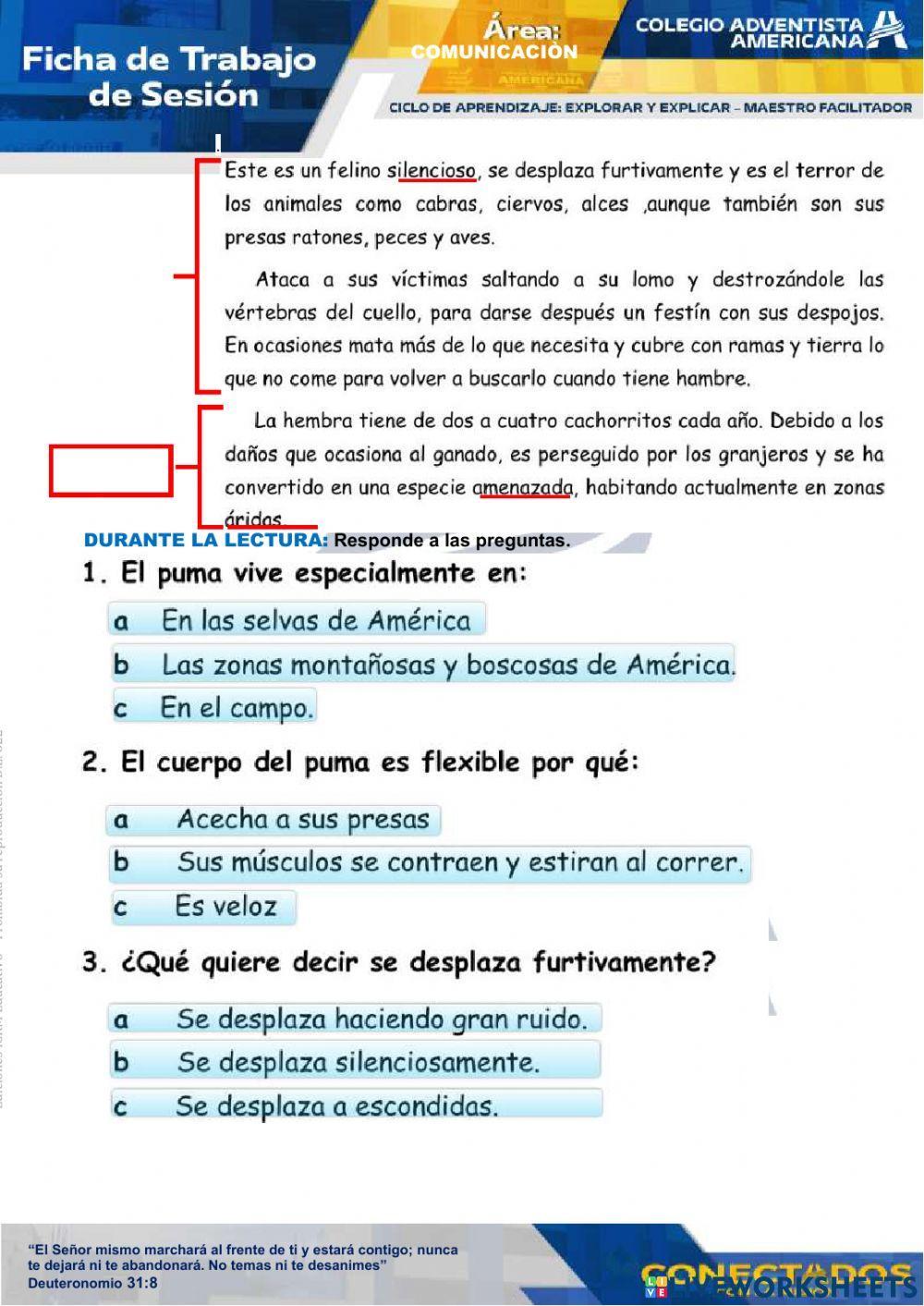 Leemos textos descriptivos