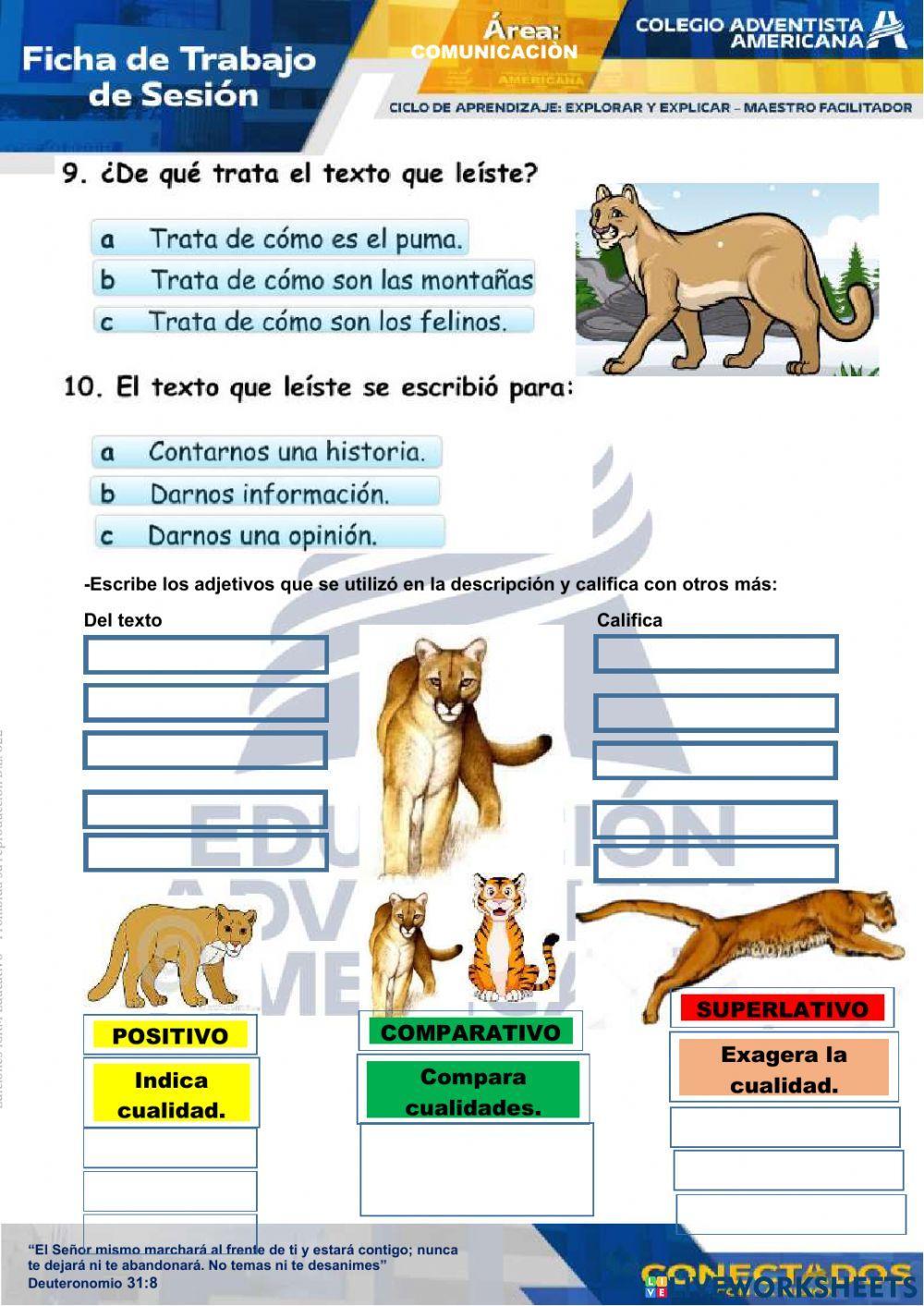 Leemos textos descriptivos