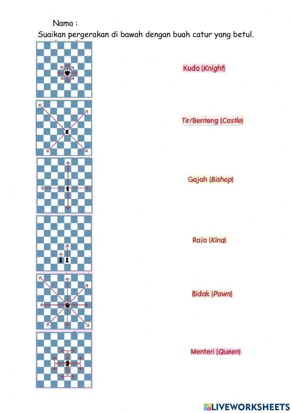 Arah Pergerakan Buah Catur