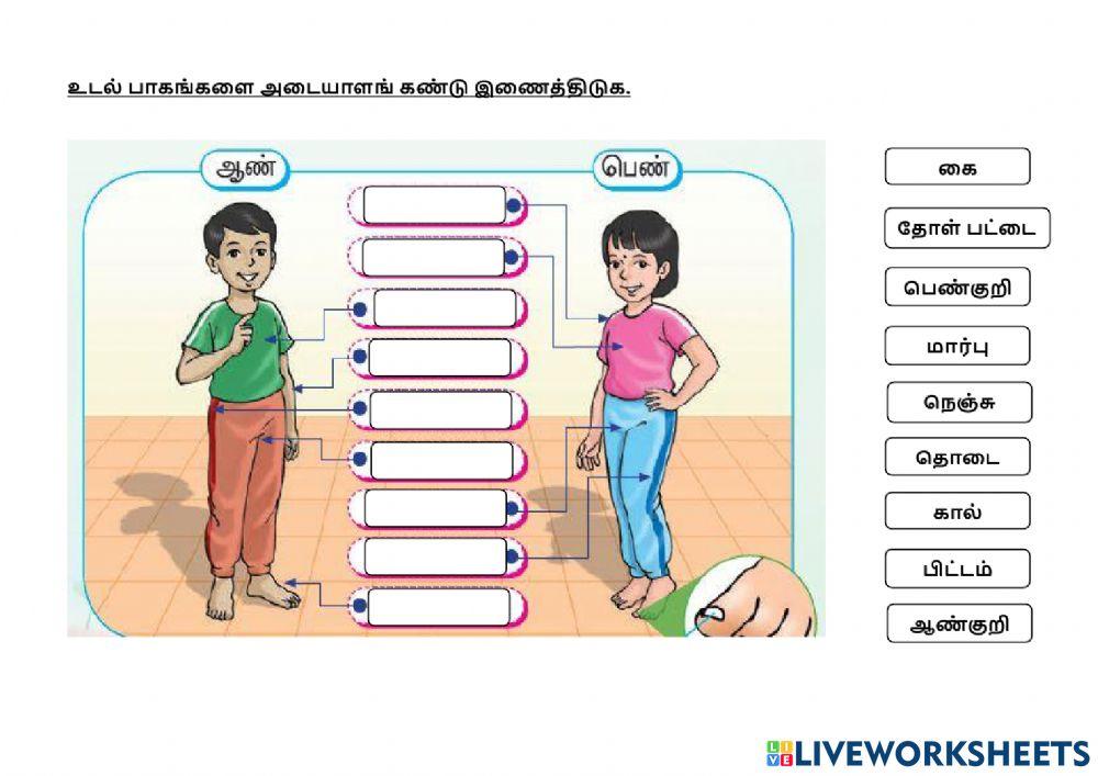 உடல் பாகங்கள்