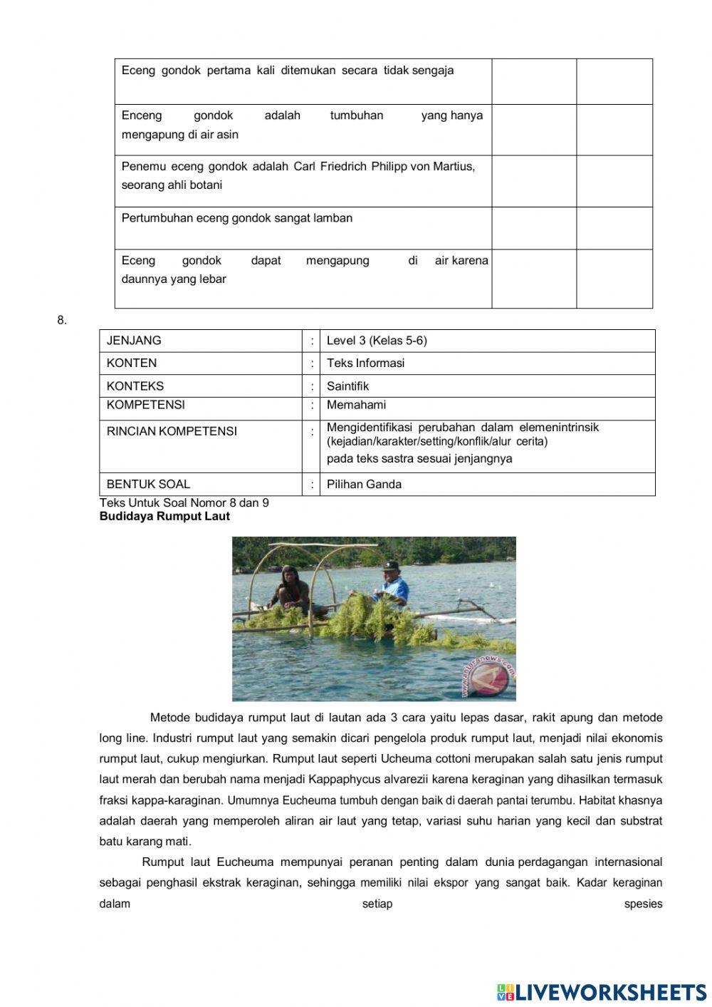 AKM-Literasi Paket B (1-10)