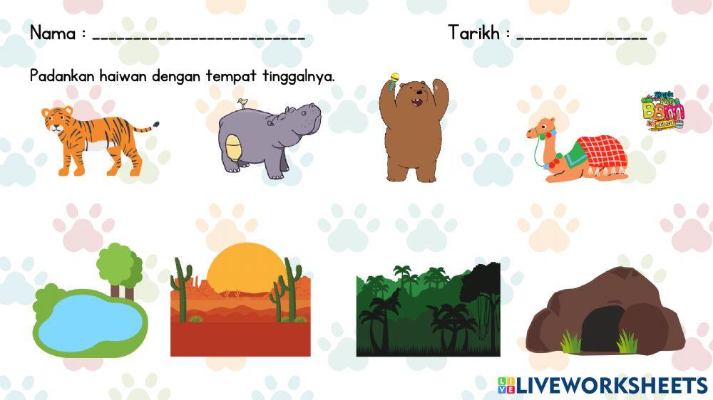 Tempat Tinggal Haiwan