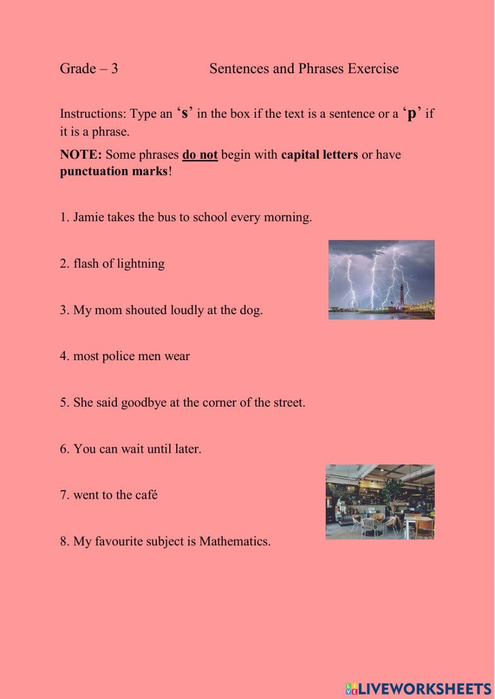 Sentences and Phrases Exercise