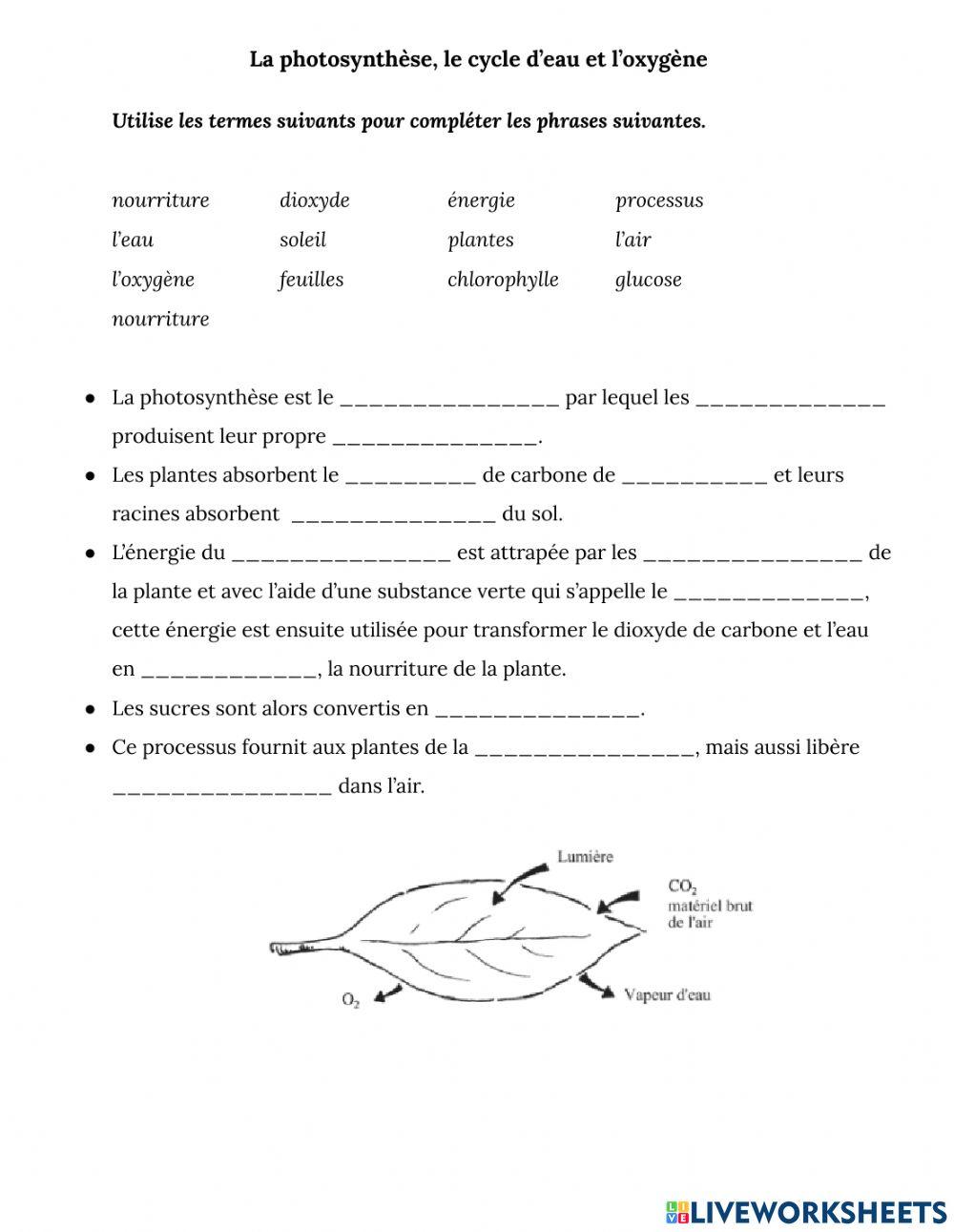 La révision des objectifs 1 à 3