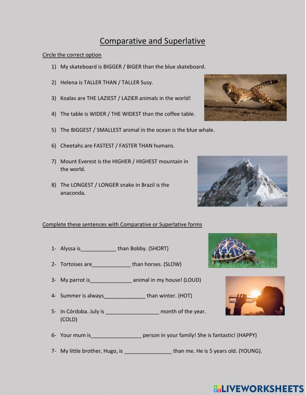 Comparatives and Superlatives