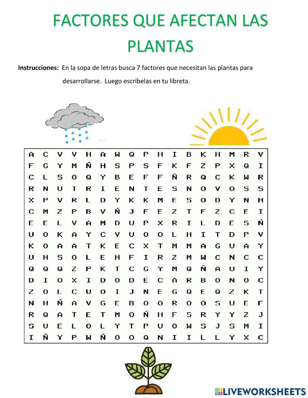 Necesidades de las plantas