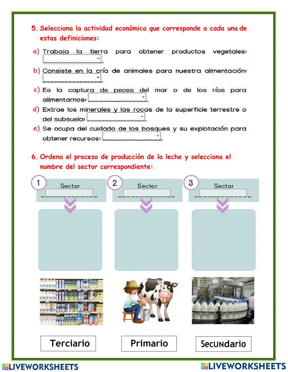 Actividades económicas