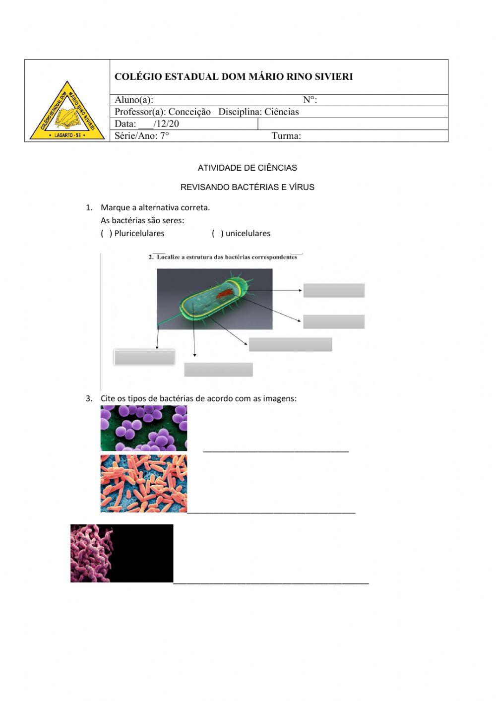 Revisando Bactérias e Vírus