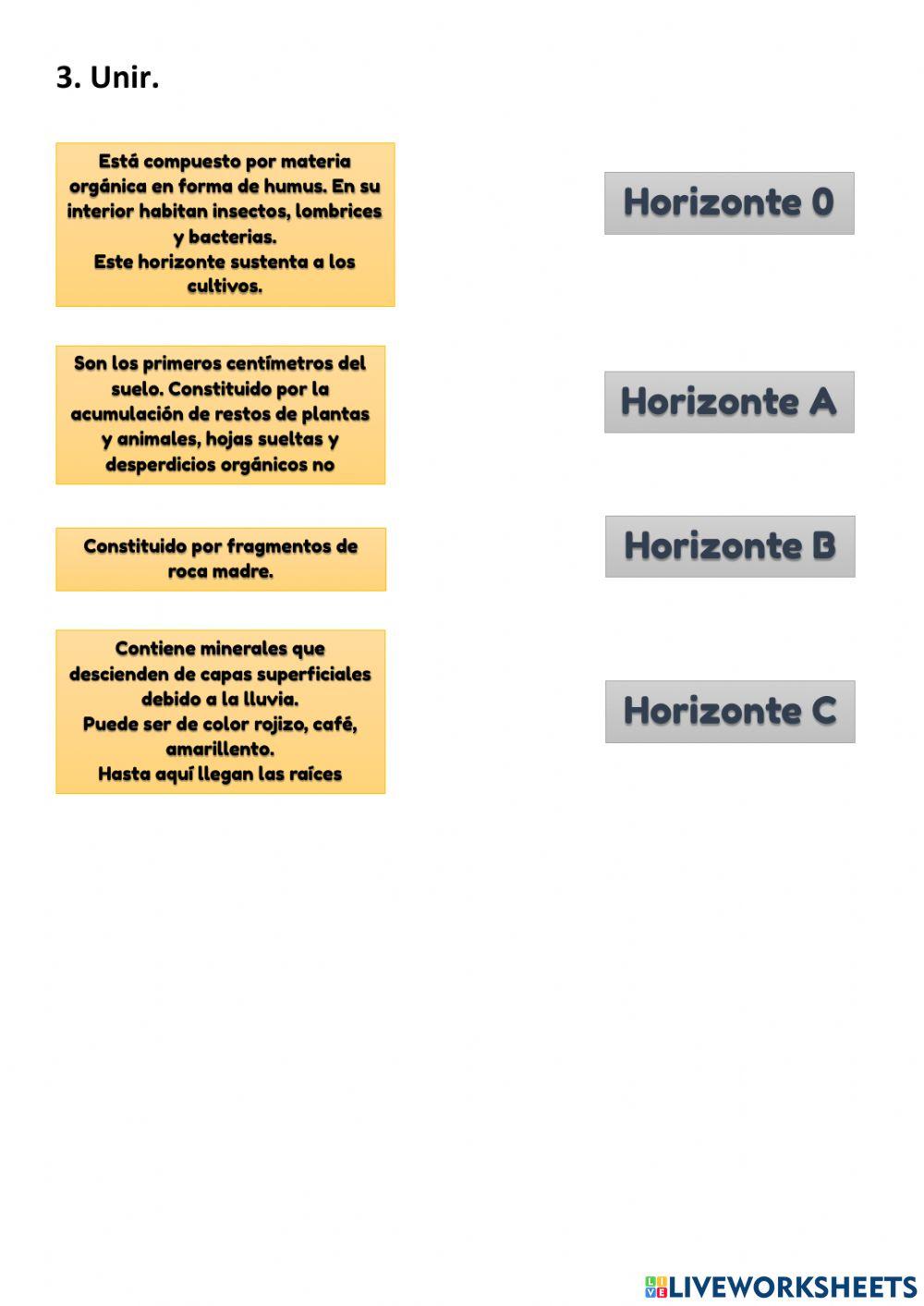 LOS SUELOS - HORIZONTES